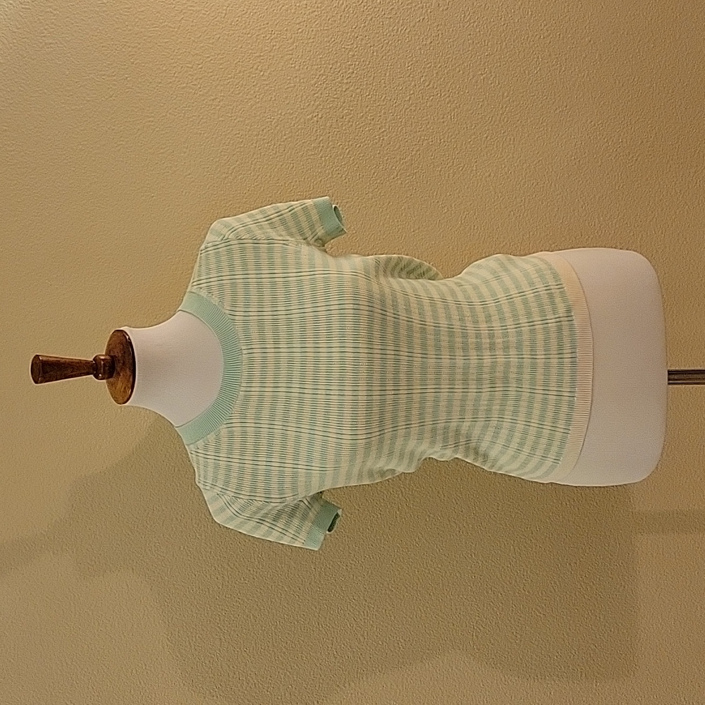 Seafoam striped Madewell sweater